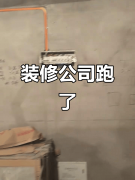 公司以至通过变动法人、拆分运营从体等体例规